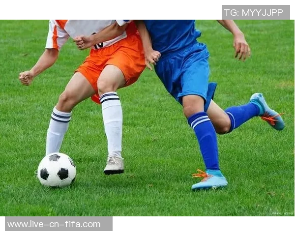 我对足球和篮球的冷淡态度以及寻找其他运动的乐趣与价值